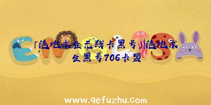 「绝地求生无线卡黑号」|绝地求生黑号706卡盟